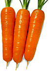 Carrot3e