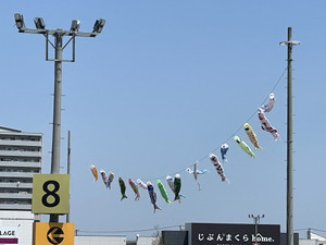 Img_6014 Img_6014