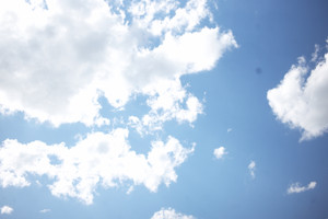 L1001324 L1001324