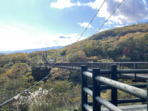 Img_6797_2 Img_6797_2