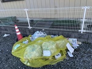 Img_6879_2_2 Img_6879_2_2