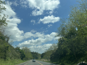 Img_7978 Img_7978