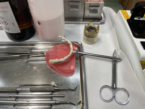 Img_8092 Img_8092