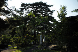 L1002109 L1002109