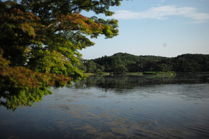 L1002100 L1002100