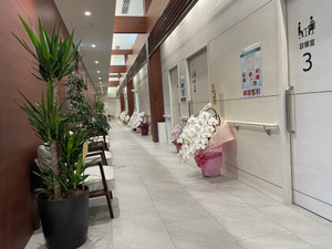 Img_8627 Img_8627